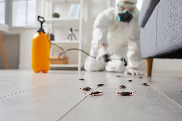 Commercial Kitchen Cockroach Control in Manchester Center